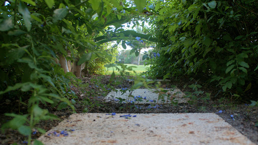 Golf Club «Meadowood Golf and Tennis Club», reviews and photos, 9425 Meadowood Dr, Fort Pierce, FL 34951, USA