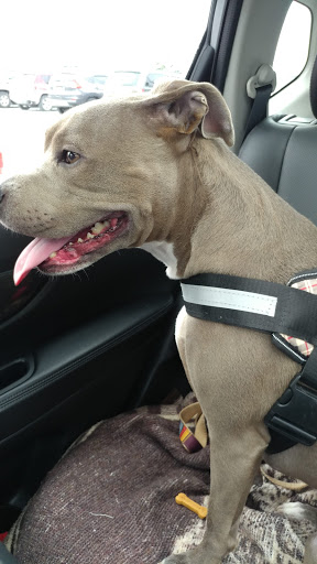 Pet Supply Store «Petco Animal Supplies», reviews and photos, 1622 Clark Street Rd, Auburn, NY 13021, USA