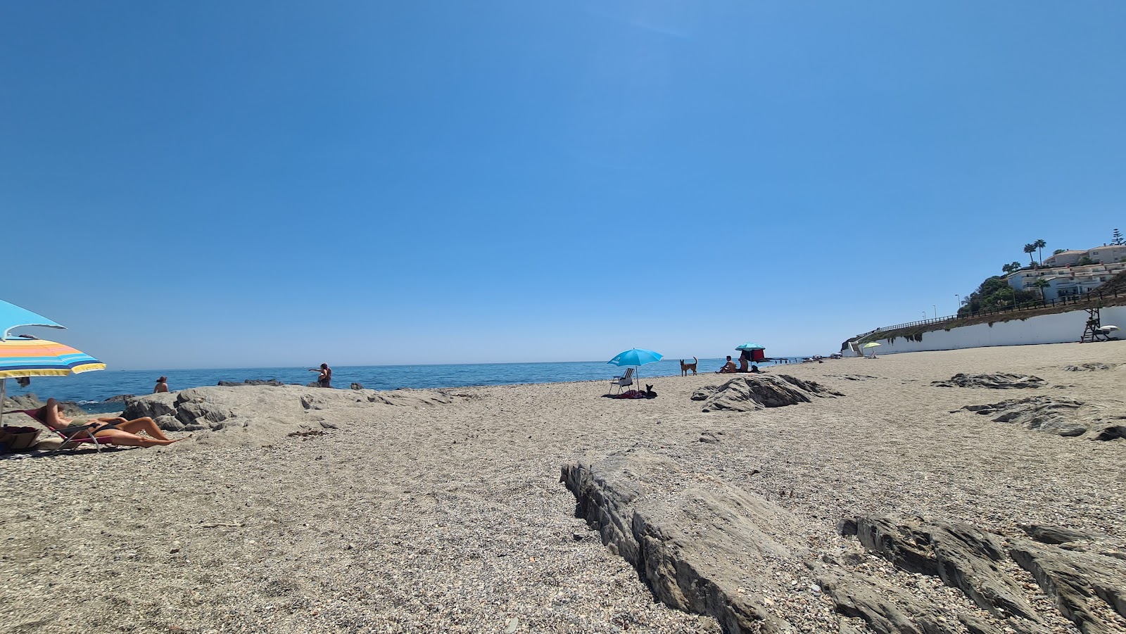 Photo de Playa Para Perros - bon endroit convivial pour les animaux de compagnie pour les vacances