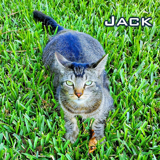 Insurance Agency «Wiglesworth-Rindom Insurance Agency», reviews and photos