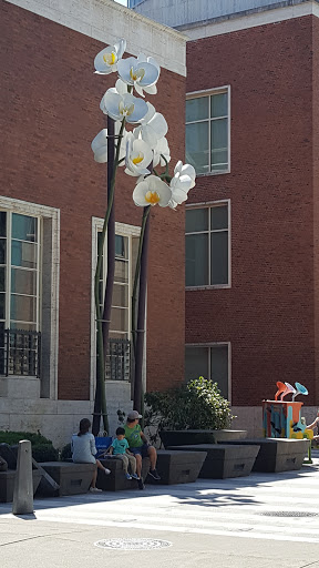 Performing Arts Theater «Arlene Schnitzer Concert Hall», reviews and photos, 1037 SW Broadway, Portland, OR 97205, USA