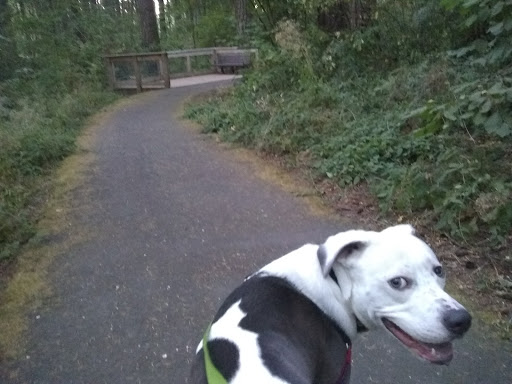 Nature Preserve «Lowami Hart Woods Natural Area», reviews and photos, 14895 SW Hart Rd, Beaverton, OR 97007, USA