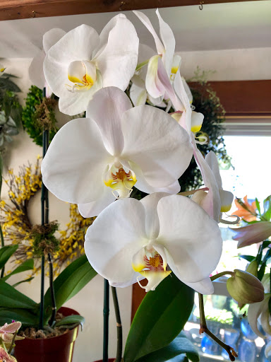 Florist «The Secret Garden», reviews and photos, 12 Southwest Ave, Jamestown, RI 02835, USA