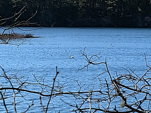 State Park «Myles Standish State Forest», reviews and photos, 194 Cranberry Rd, Carver, MA 02330, USA