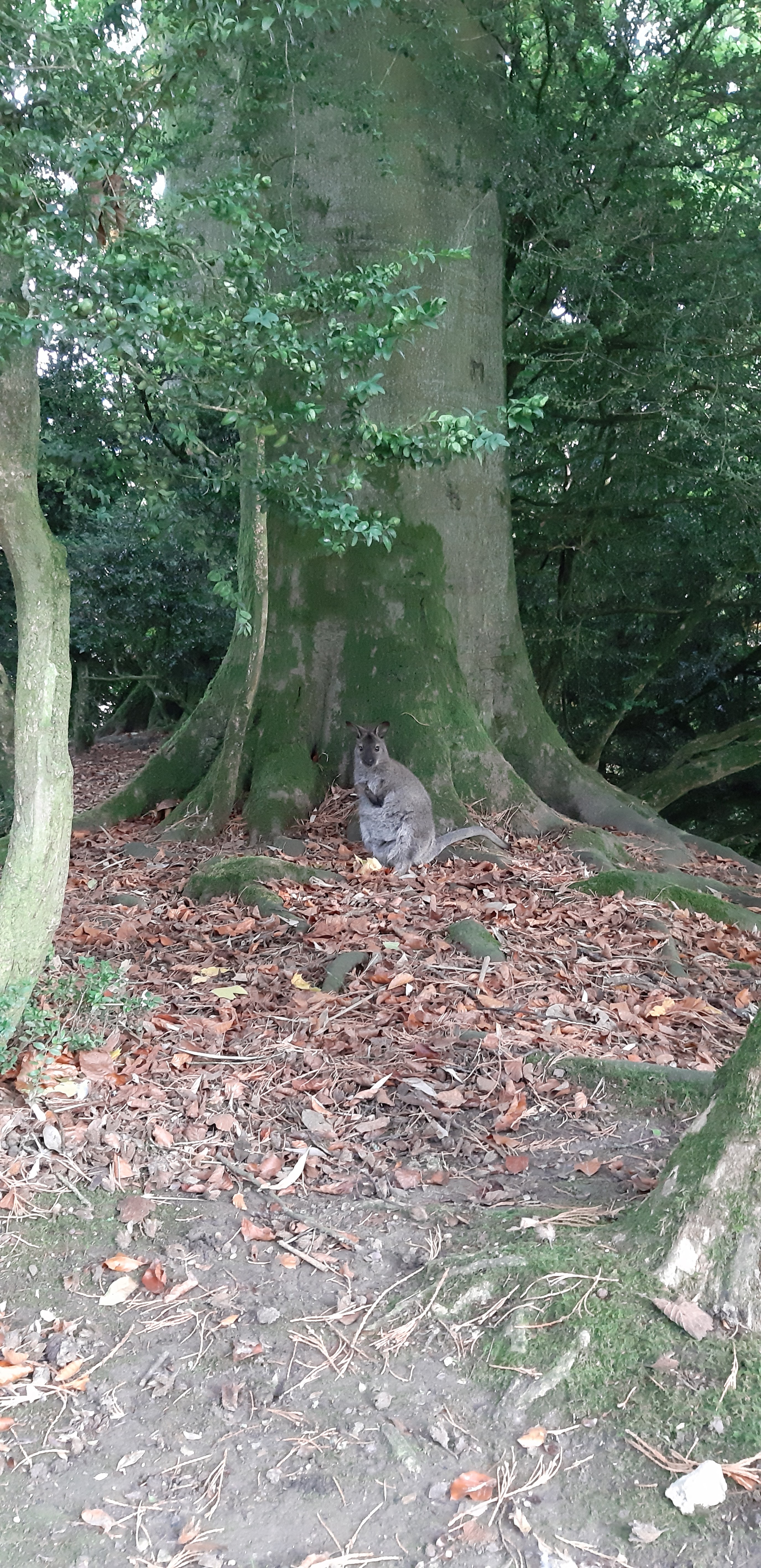 Photo n° 4 de l'avis de Nathalie.l fait le 20/10/2019 à 14:59