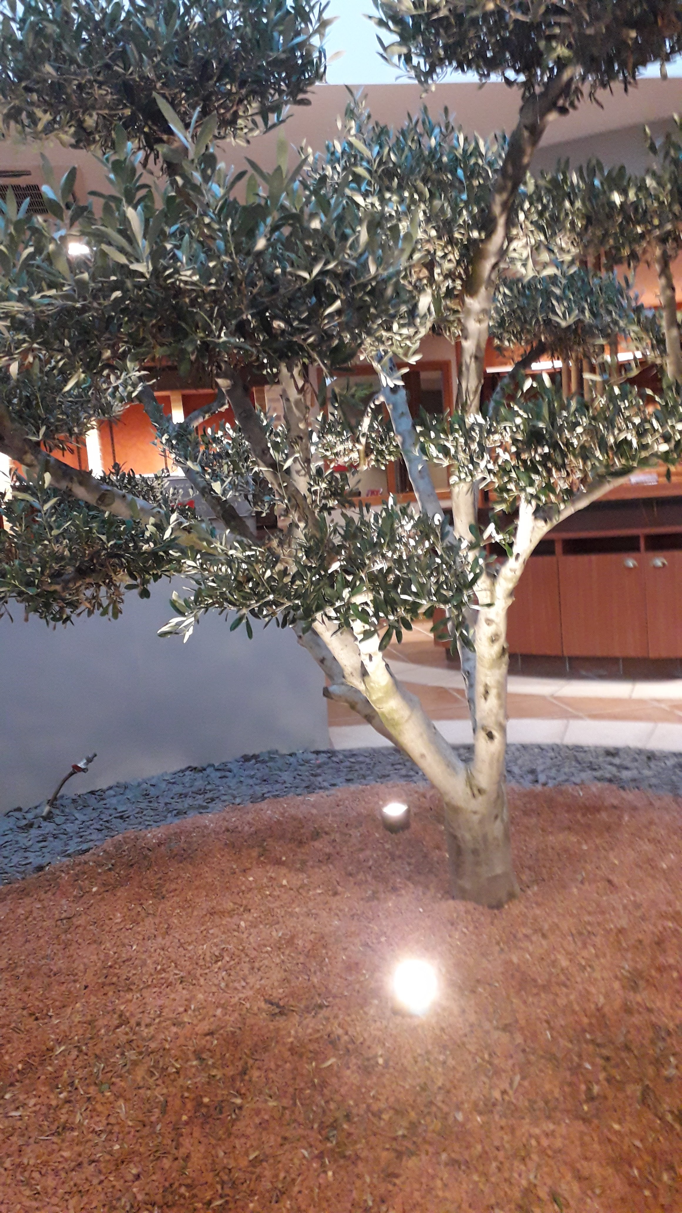 Photo n° 1 de l'avis de Sylvie.o fait le 30/09/2019 à 16:53