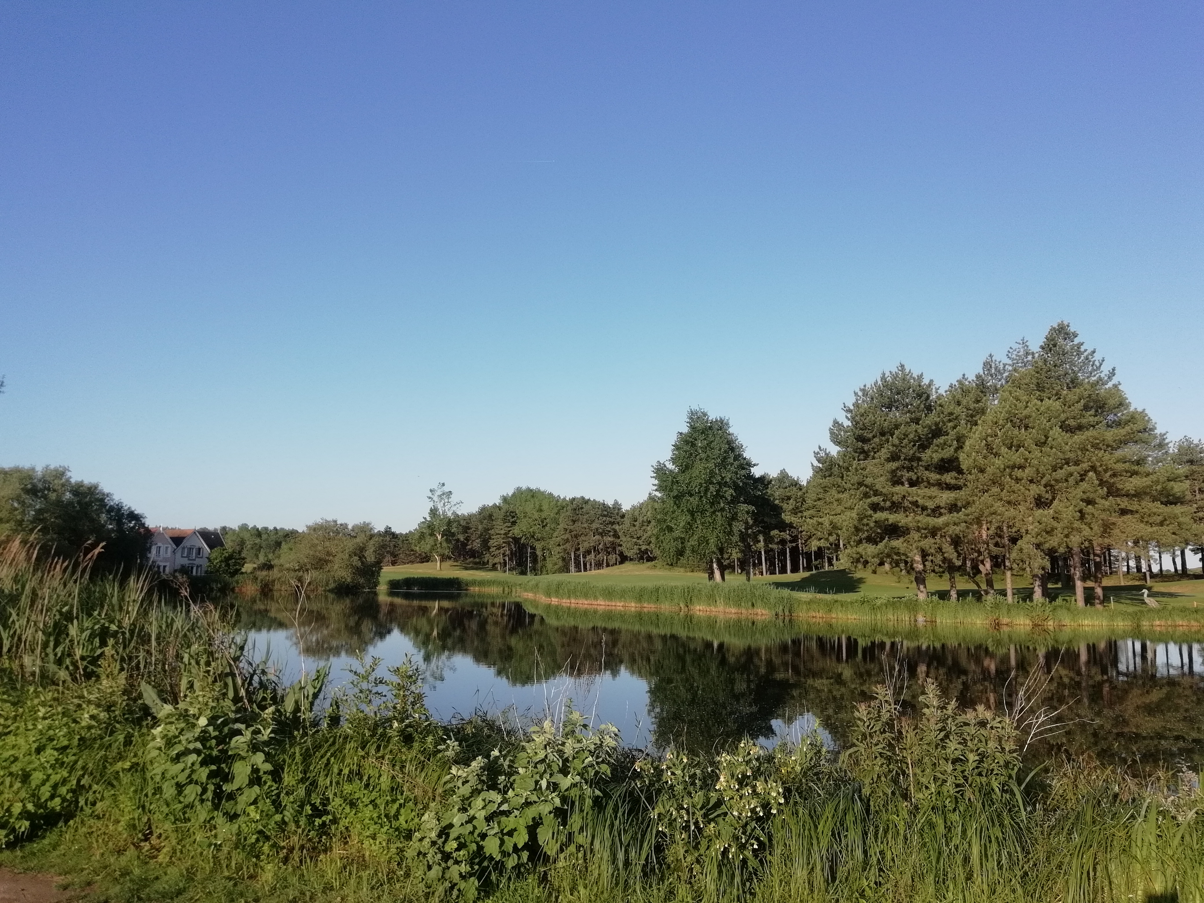 Photo n° 2 de l'avis de e.e fait le 04/07/2019 à 07:31