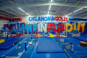Oklahoma Gold Gymnastics image