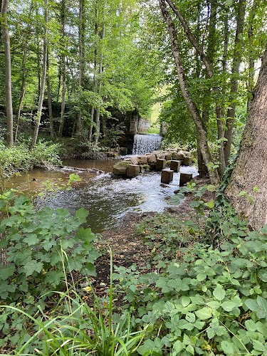 Chute du Rauschenwasser à Reichshoffen