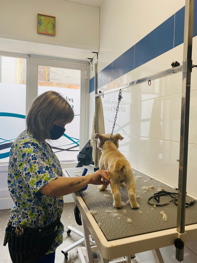 Huellas Centro Veterinario en Castalla