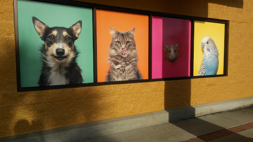 Pet Supply Store «PetSmart», reviews and photos, 1900 W International Speedway Blvd, Daytona Beach, FL 32114, USA