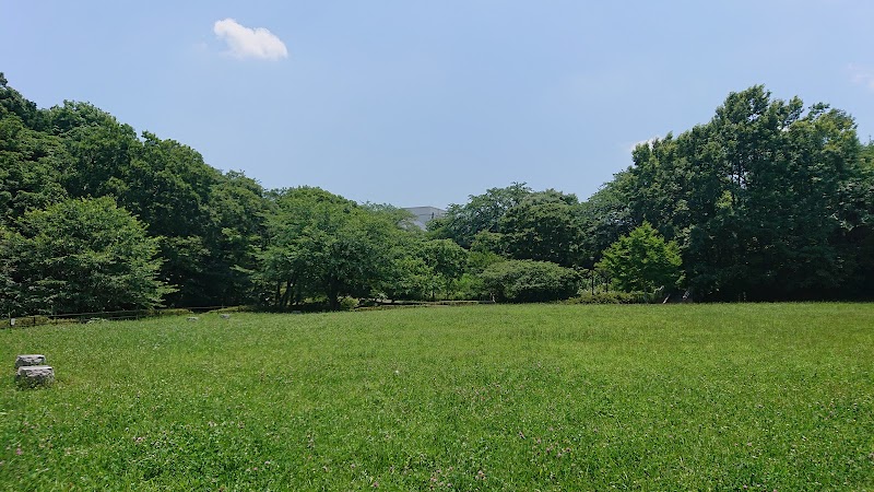 菅田みどりの丘公園