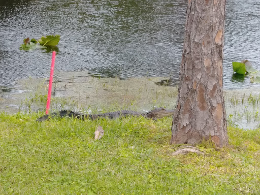 Golf Club «Eagle Marsh Golf Club», reviews and photos, 3869 NW Royal Oak Dr, Jensen Beach, FL 34957, USA