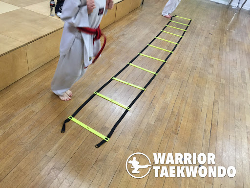Warrior Taekwondo