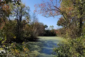 Bee Creek Park image