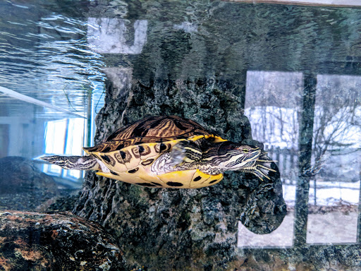 Nature Preserve «Flat Rock Brook Nature Center», reviews and photos, 443 Van Nostrand Ave, Englewood, NJ 07631, USA