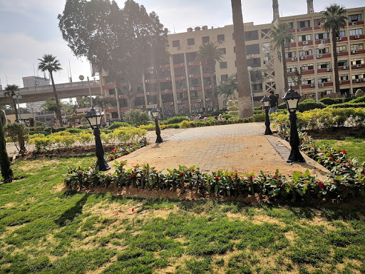 Ain Shams University