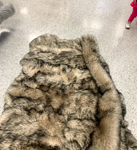 Clothing Store «Ross Dress for Less», reviews and photos, 9460 W Northern Ave, Glendale, AZ 85305, USA