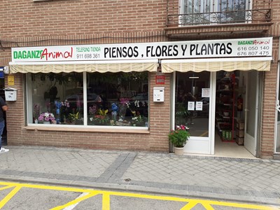 Daganzo Animal en Daganzo de Arriba, Madrid