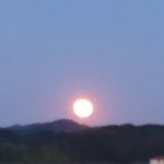 Photo n°4 de l'avis de ENRICO.A fait le 14/06/2020 à 17:06 sur le  Agriturismo Cavaglione à Peccioli