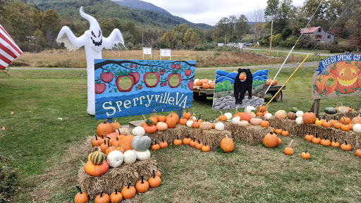 Gift Shop «Beech Spring Gift Shop», reviews and photos, 11600 Lee Hwy, Sperryville, VA 22740, USA