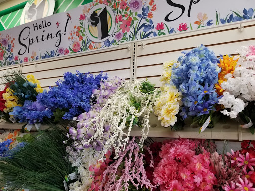 Dollar Store «Dollar Tree», reviews and photos, 1330 Eastern Blvd, Essex, MD 21221, USA