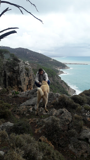 Özlen Restaurant Ve Pansiyon