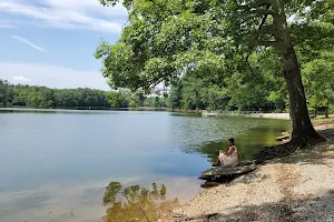 Mousetail Landing State Park image