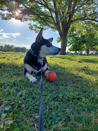 Overland Animal Hospital - Photo 5 - Car repair in Denver, CO, Arvada