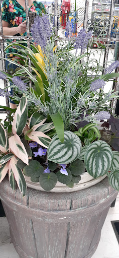 Home Improvement Store «Longeneckers True Value», reviews and photos, 127 Doe Run Rd, Manheim, PA 17545, USA