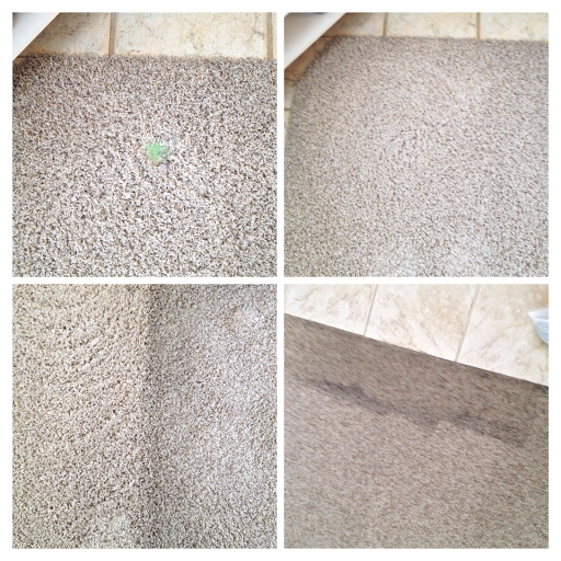 PurElements Carpet Cleaning Specialists