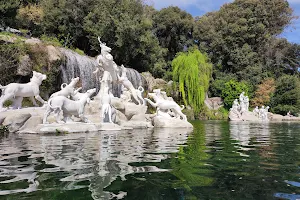 Fountain of Diana and Actaeon image