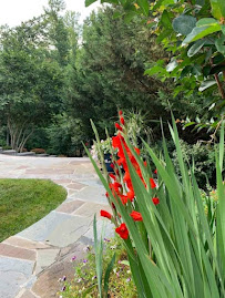 Deuces Garden and Patio Creations - Photo 8 - Car repair in , Fredericksburg