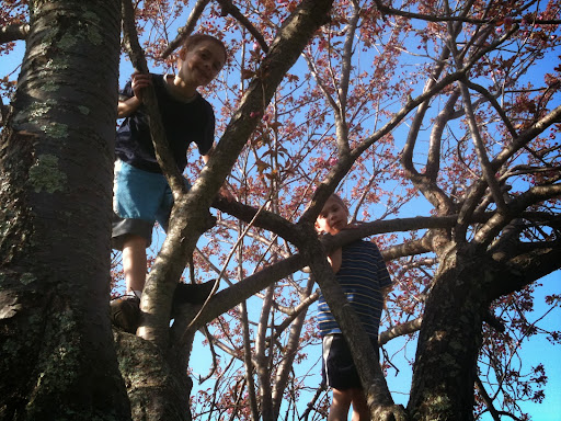 Park «Clasky Common Park», reviews and photos, Purchase St, New Bedford, MA 02740, USA