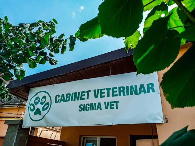 Sigma Vet