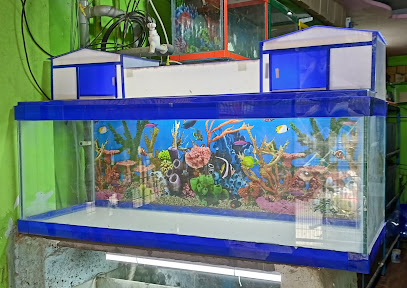 SS Aquariums Mangalagiri