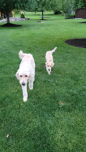 Pet Supply Store «Pet Supplies Plus», reviews and photos, 7570 Pearl Rd, Middleburg Heights, OH 44130, USA