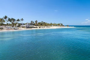 Playa Nueva Romana image