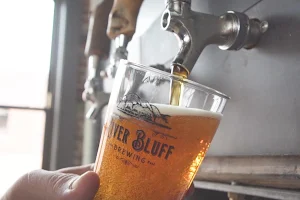 River Bluff Brewing image