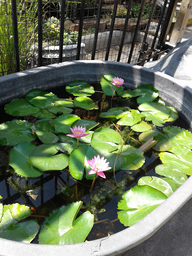 Pet Store «Fish-N-Pets Unlimited», reviews and photos, 11710 Bissonnet St, Houston, TX 77099, USA