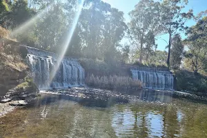 Central Gardens Wildlife Exhibits image