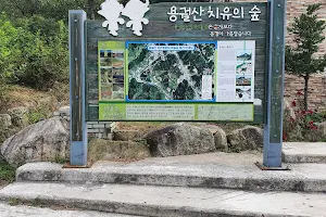 용궐산 치유의숲 image