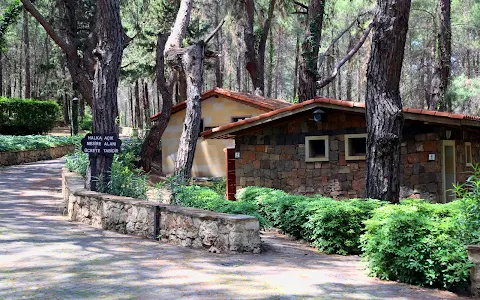 Anadolu Park image