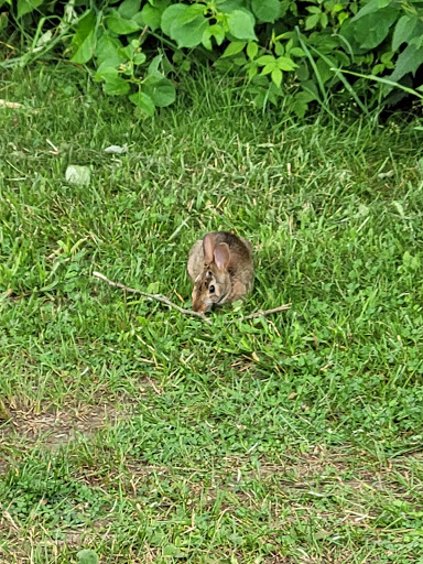 Golf Course «Saratoga Spa Golf Course», reviews and photos, 60 Roosevelt Dr, Saratoga Springs, NY 12866, USA