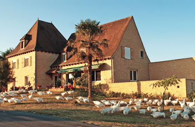 Foie Gras Mercier à La Chapelle-Aubareil