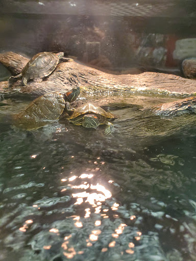 Pet Supply Store «Petco Animal Supplies», reviews and photos, 200 Center Blvd S, Christiana, DE 19702, USA