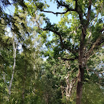 Photo n°5 de l'avis de Kirsten.� fait le 05/08/2020 à 15:39 sur le  Hotel Seeblick à Klausdorf