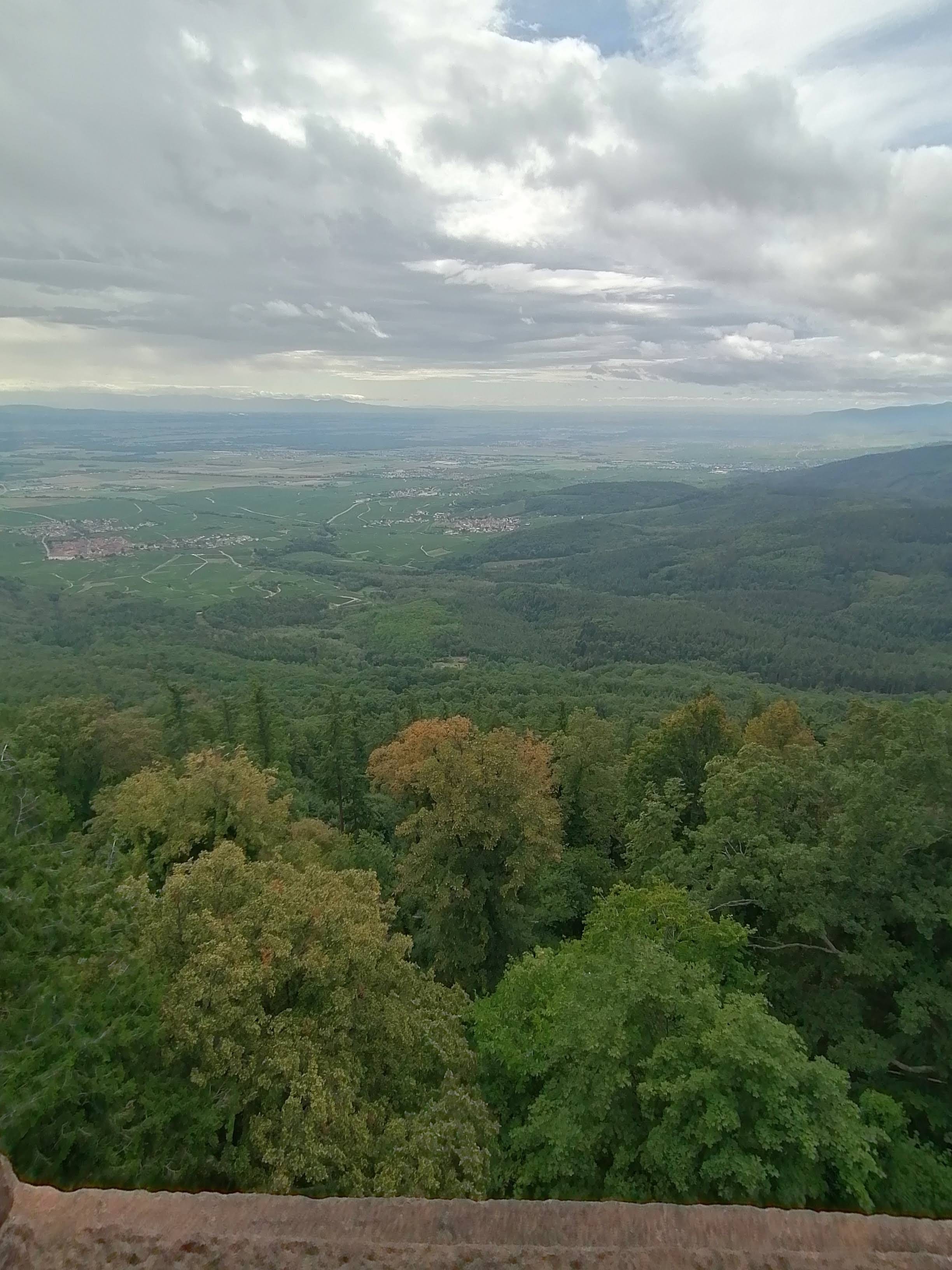 Photo n° 23 de l'avis de Bertrand.e fait le 01/09/2023 à 18:15