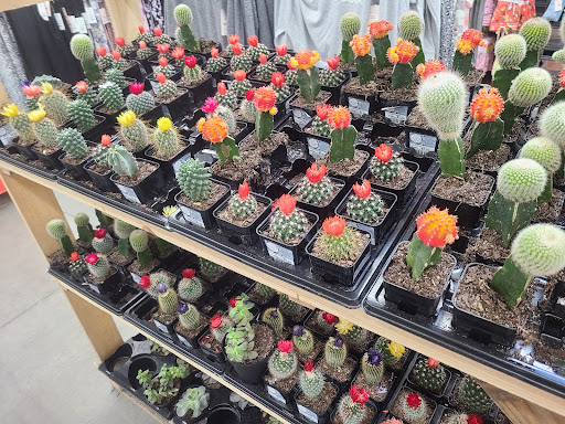 Department Store «Walmart Supercenter», reviews and photos, 7500 US-209, Napanoch, NY 12458, USA