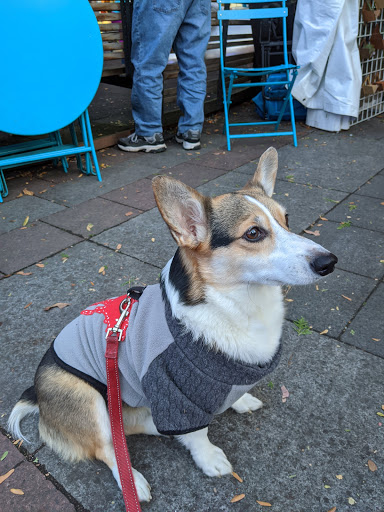 Park «Westlake Park», reviews and photos, 401 Pine St, Seattle, WA 98101, USA